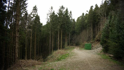 Fotobanka s bezplatnými fotkami na tému ihličnany, kovový kontajner, lesnatá krajina