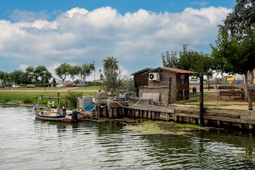 Photos gratuites de arbre, architecture, bateau