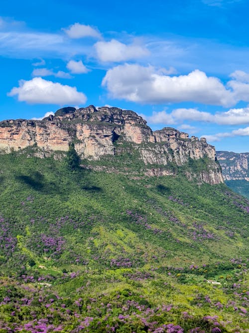 Free Explore the vibrant natural beauty of the Palmeiras escarpment in Brazil, showcasing lush greenery and dramatic cliffs. Stock Photo