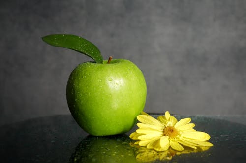 Fotobanka s bezplatnými fotkami na tému čerstvosť, lupene, zdravý