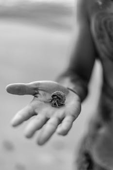 Black and white close-up of a hermit crab gently held in a human hand at a beach.