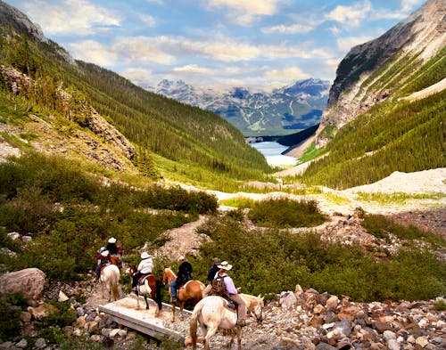 Fotobanka s bezplatnými fotkami na tému banff národný park, hory, jazdci na koni