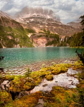 A serene turquoise lake surrounded by lush greenery and majestic mountains in Banff National Park.