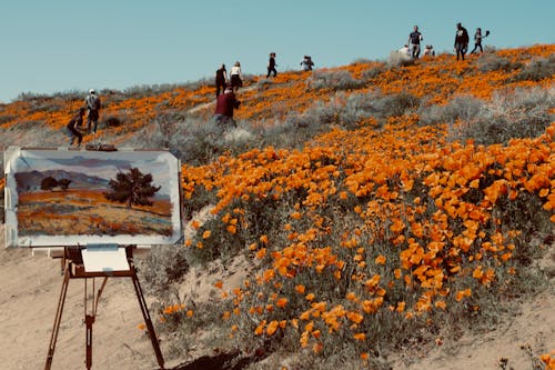 オレンジ色の花畑を歩く人々