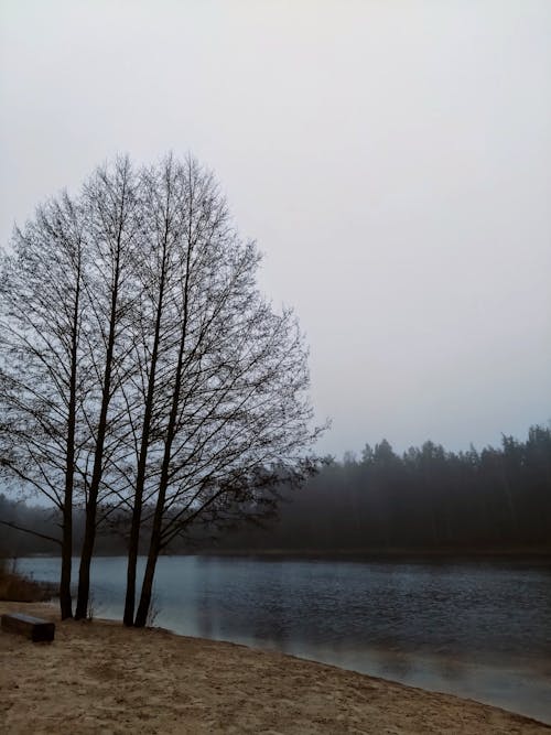 Fotobanka s bezplatnými fotkami na tému chladný, jazero, príroda
