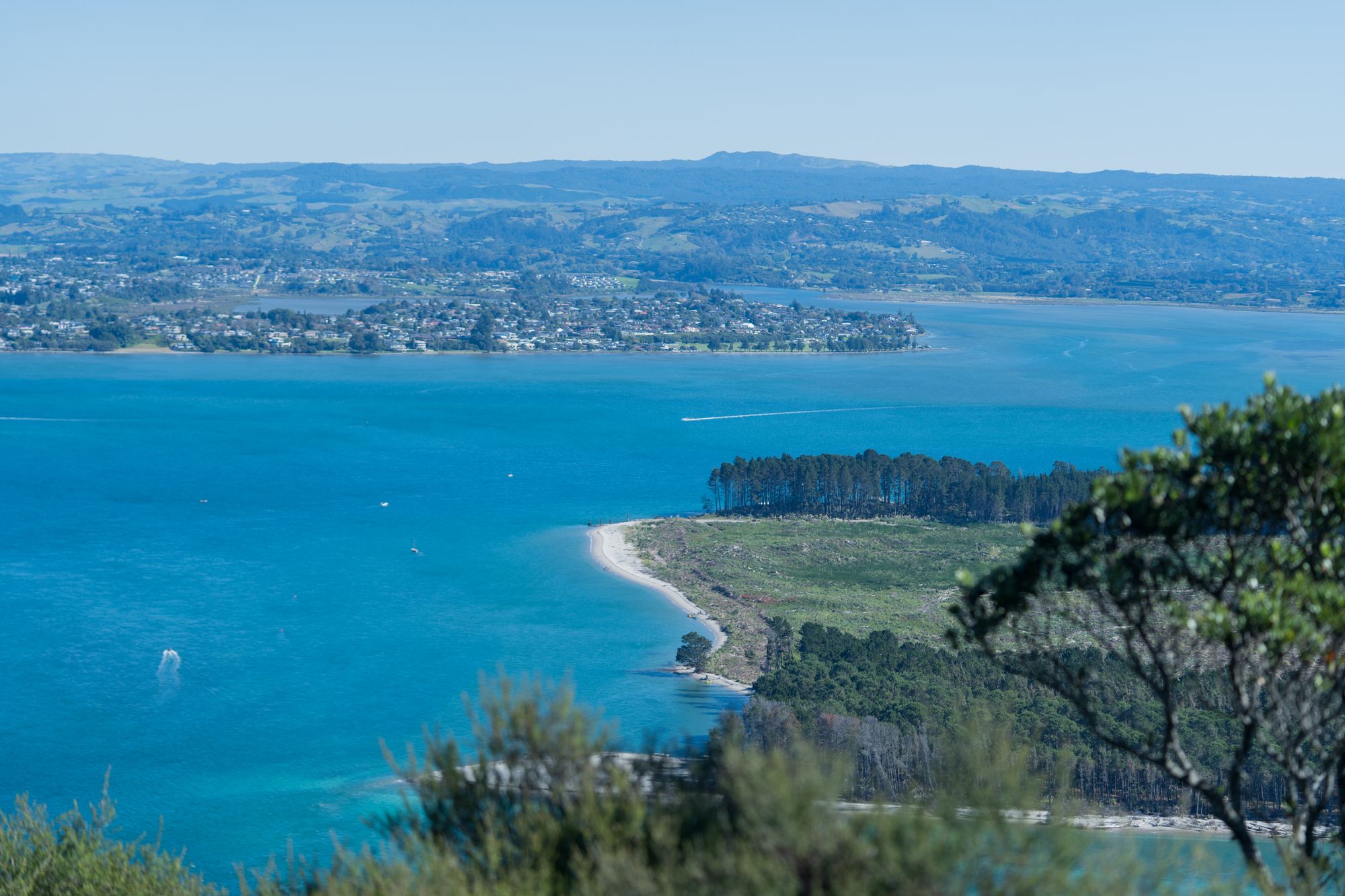 Tauranga