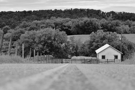 Charming black and white view of a rural road leading to a farmhouse in Knoxville, TN.