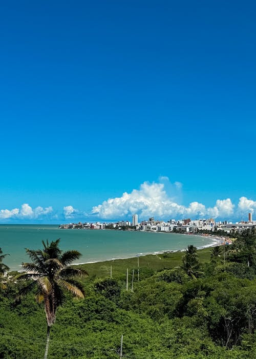 A view of the ocean and city from a hill