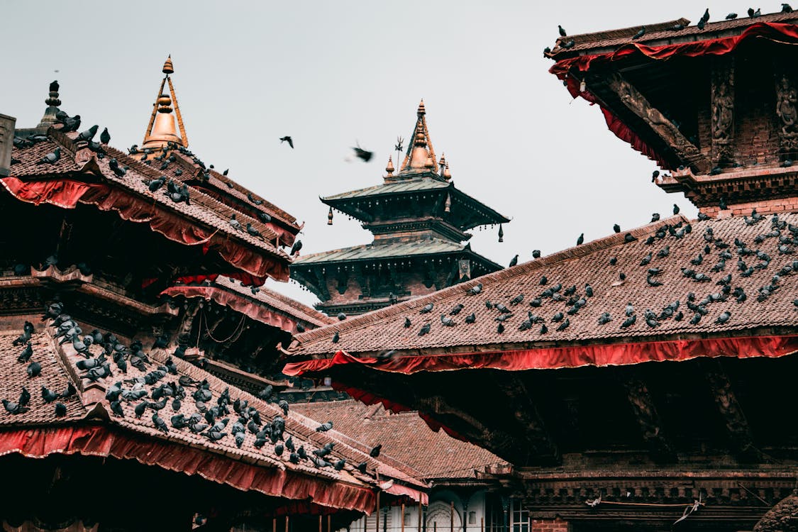 赤と茶色の寺院の屋根 無料の写真素材
