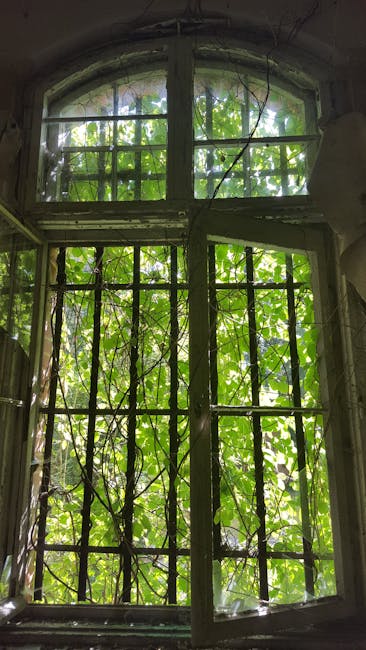 abandoned, broken, colors