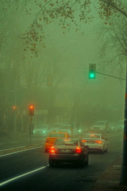 A foggy city street with cars driving down it