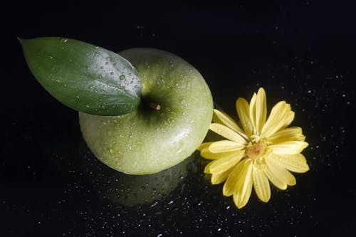 Foto profissional grátis de fechar-se, flor amarela, foco seletivo