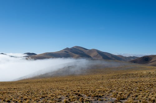 Free En camino Stock Photo