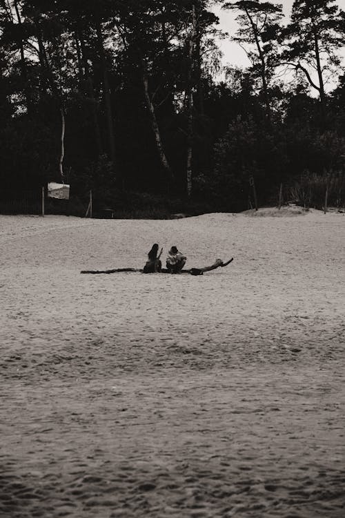 Two people in a canoe on the beach