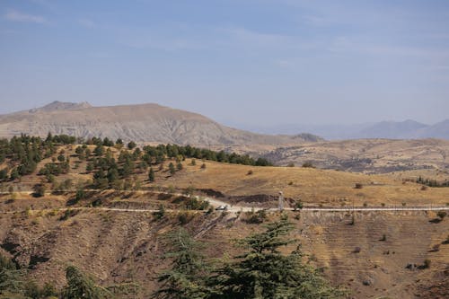 ağaçlar, arazi, çayır içeren Ücretsiz stok fotoğraf