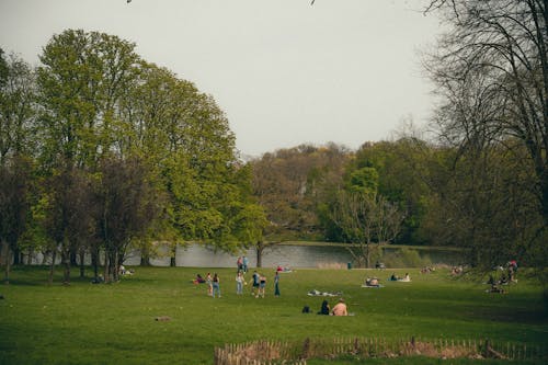Free stock photo of park, people, playing