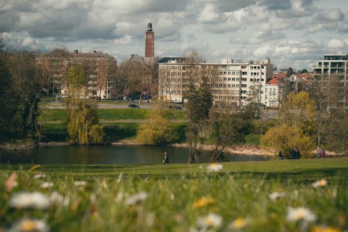 A view of a park with a city in the background
