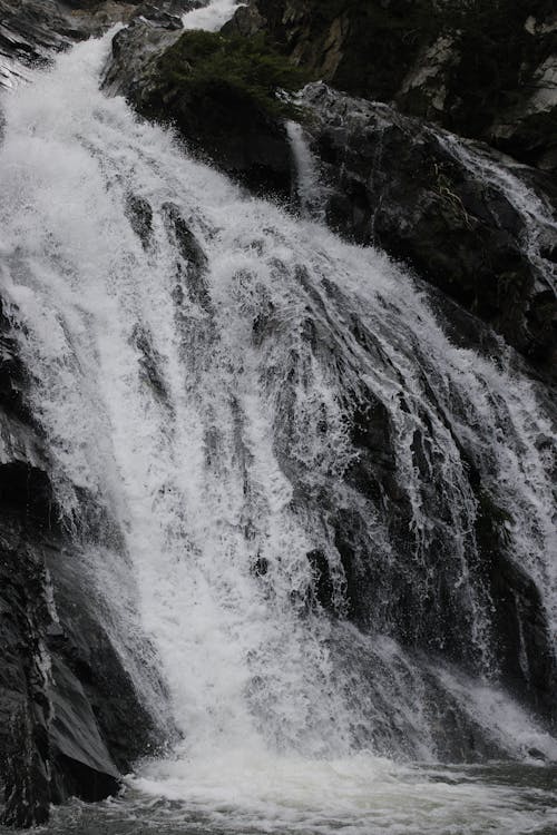 フロー, 垂直ショット, 滝の無料の写真素材