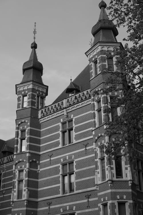 Foto d'estoc gratuïta de Bèlgica, blanc i negre, castell de westerlo