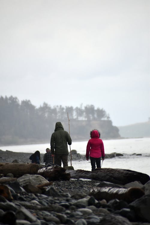 Two people walking on the beach with a dog