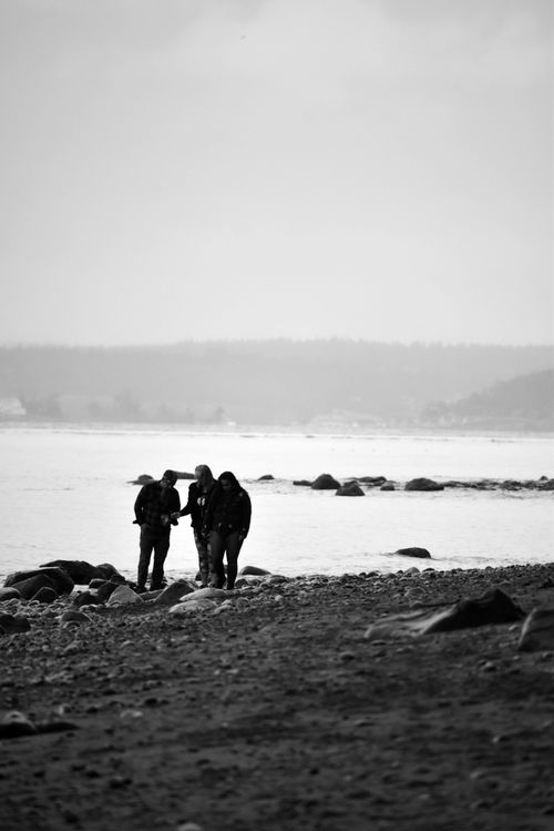 Free Three people walking on a rocky beach in black and white, capturing a serene and contemplative moment. Stock Photo