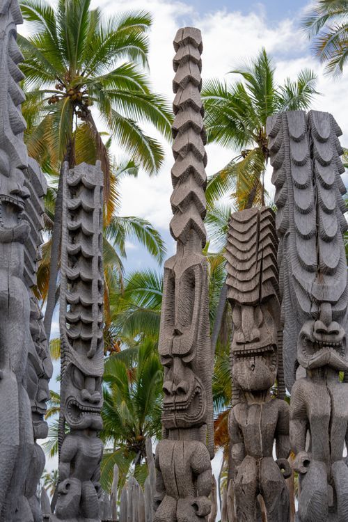 Free Ancient Hawaiian tiki statues surrounded by lush palm trees under a blue sky. Stock Photo
