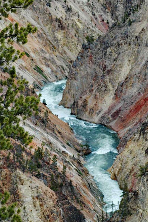 Free A breathtaking view of a canyon with a flowing river cutting through rugged landscapes. Stock Photo