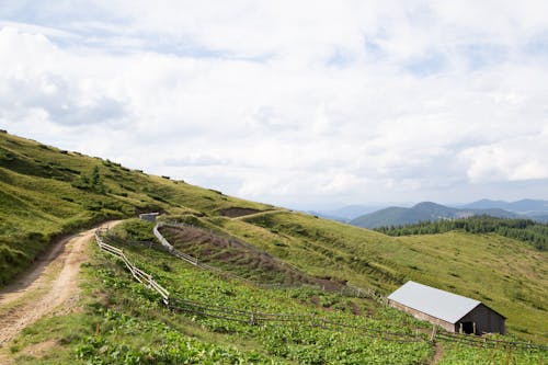 A dirt road leading up to a small house on a hillside