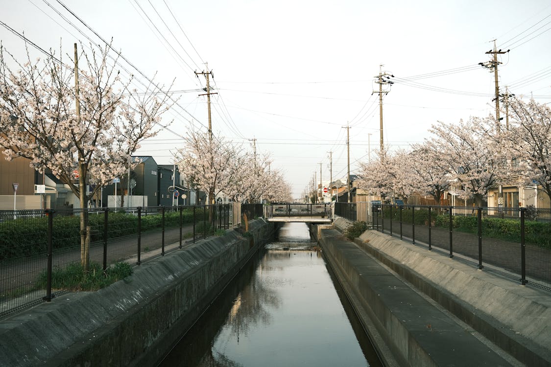 23mm, 가벼운, 강의 무료 스톡 사진