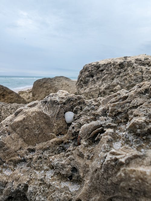 A small egg on the beach near the ocean