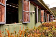 Plants Beside Building