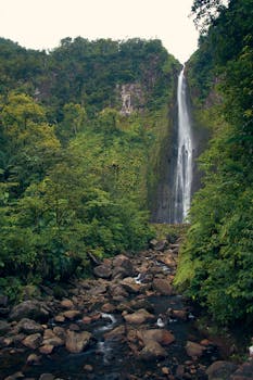 雄伟的瀑布从充满生机的绿色森林中倾泻而下，流过岩石溪流和茂密的植被