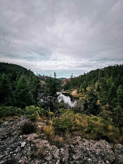 Imagine de stoc gratuită din adnveture în pădure, codru, natura pădurilor