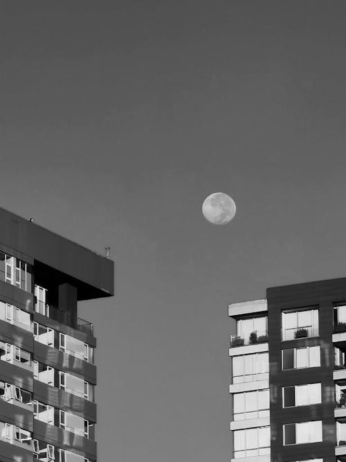 Imagine de stoc gratuită din alb-negru, cer, lună plină