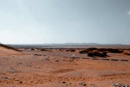 Dessert Area Under Blue Sky