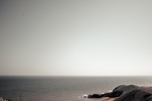 海面波光粼粼，天空明亮，沿海的景色一片宁静