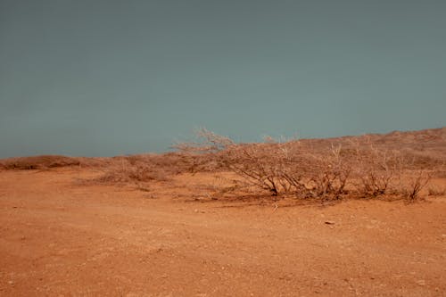 Коричневый песок пустыни