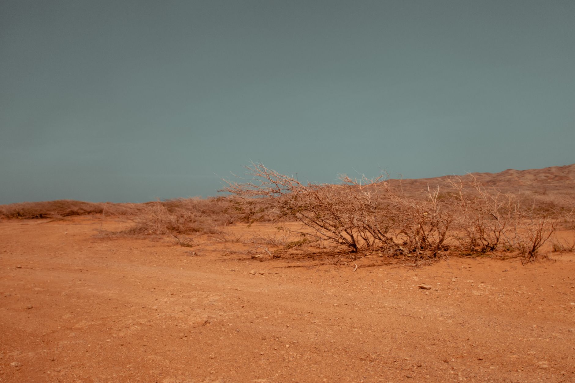 Arid desert terrain with sparse vegetation and a clear sky, showcasing a dry environment.