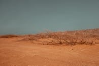 沙漠地形干旱，植被稀疏，天空晴朗，环境干燥