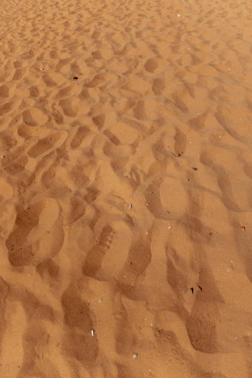 Вид на песчаные дюны