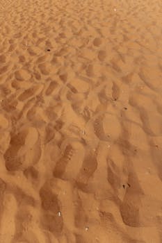 明亮的日光下，沙丘上足迹遍布