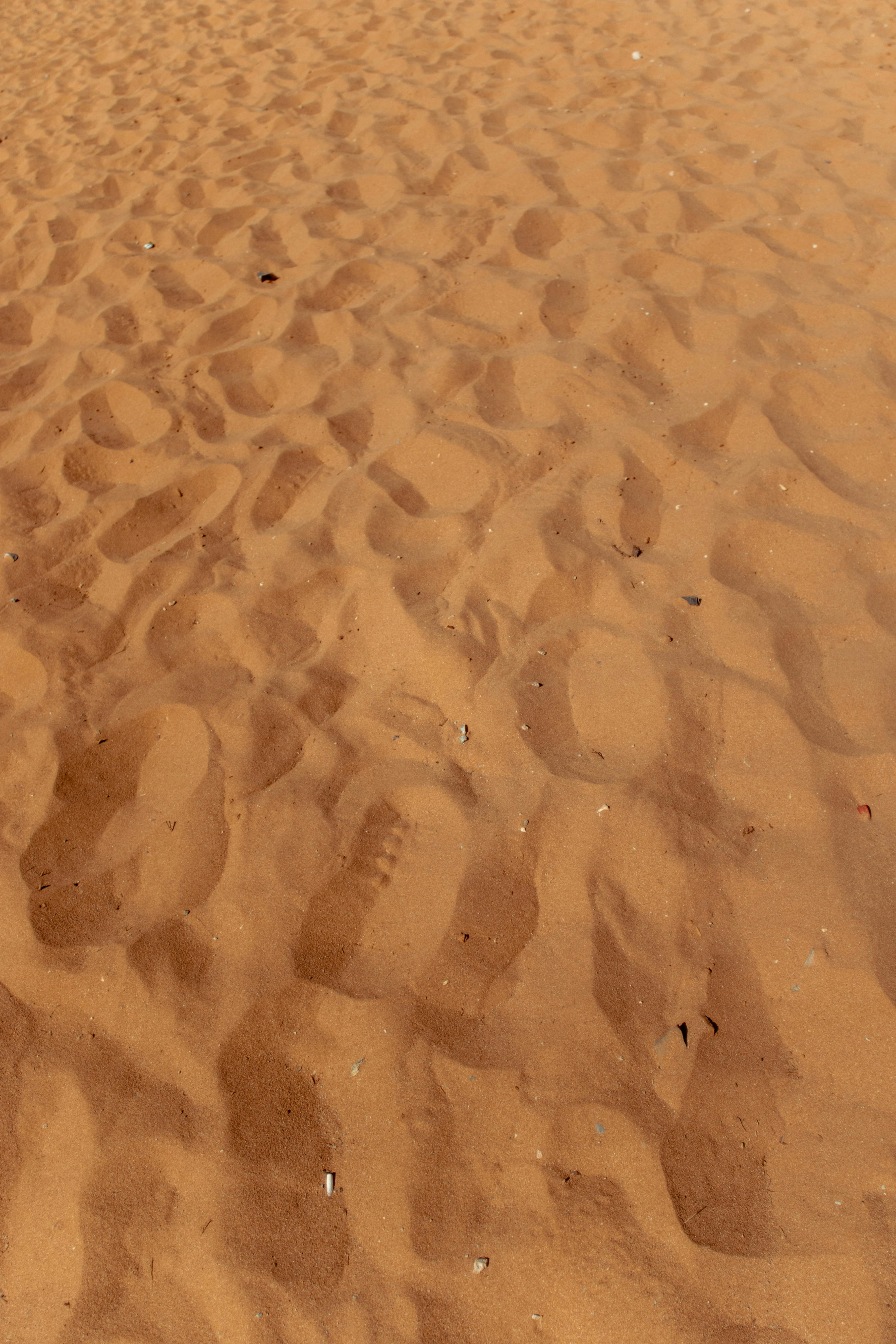 View of Sand Dunes · Free Stock Photo