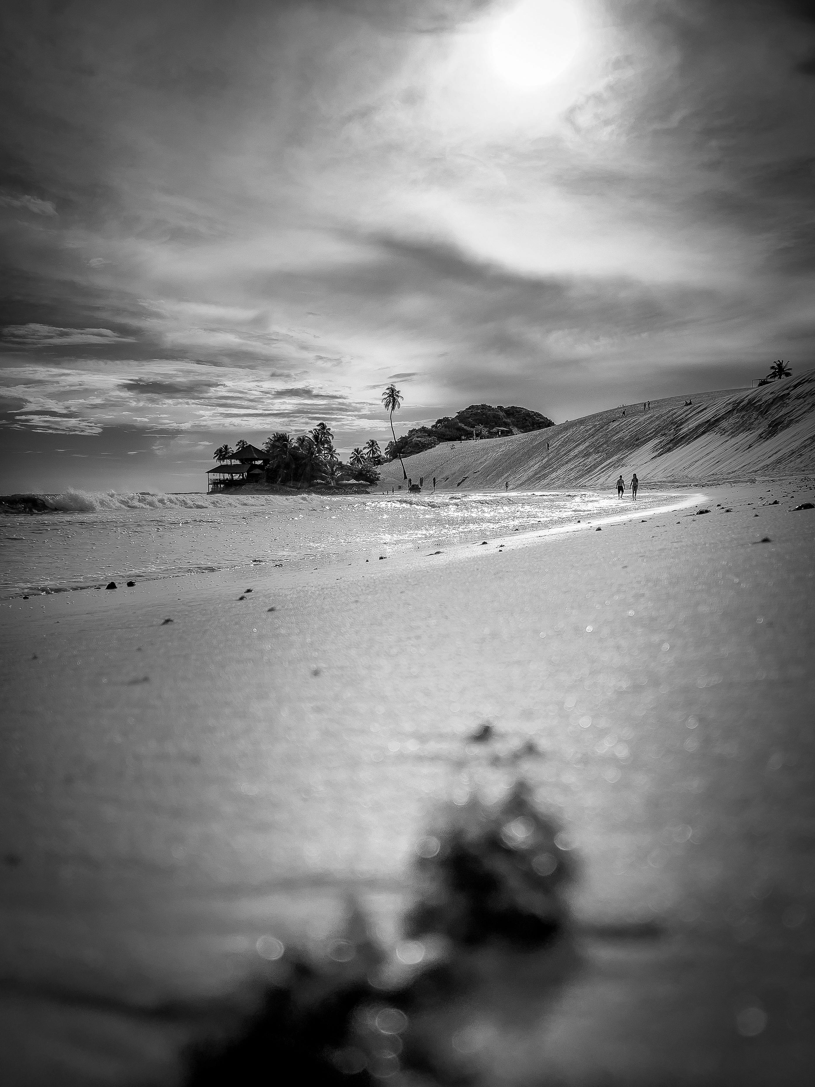 Artistic black and white photo of a beach in Natal, Brazil showcasing sand, sea, and distant palm trees under a bright sky.
