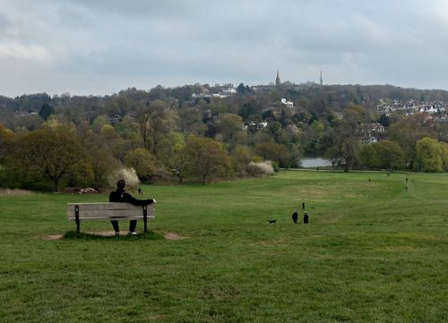 Free Serene scene in Hampstead Heath, London with a person on bench overlooking lush parkland. Stock Photo