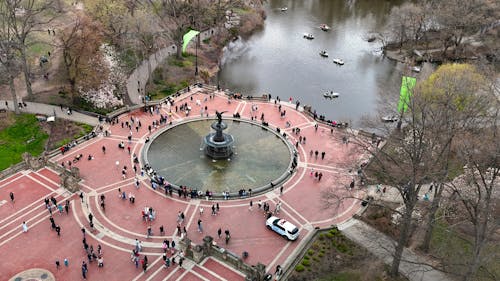 central park, New York içeren Ücretsiz stok fotoğraf
