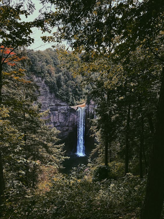 Waterfall on Focus Photography