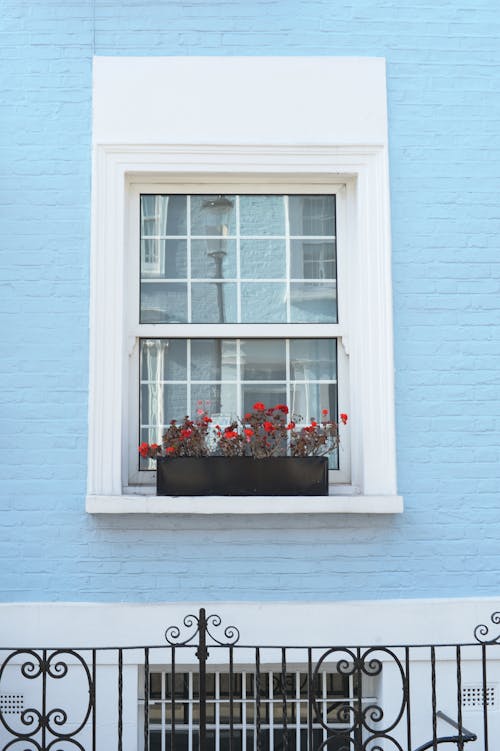 Ilmainen kuvapankkikuva tunnisteilla ikkuna, ikkunat, kukat