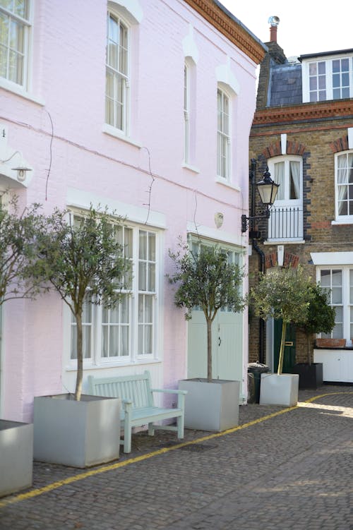 Free A row of pink houses with trees in front Stock Photo