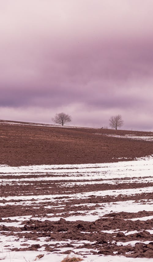 冬季, 土, 天氣 的 免费素材图片