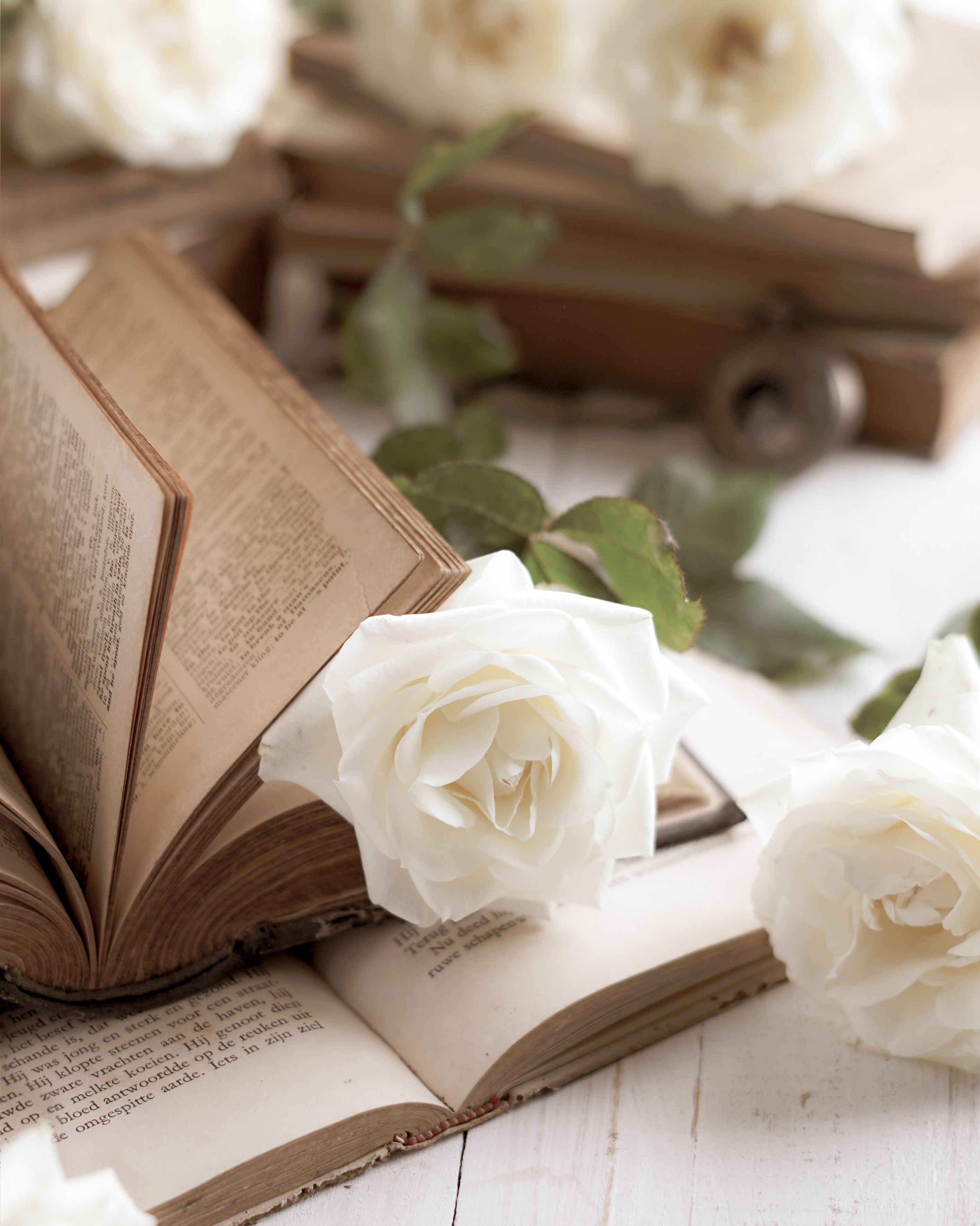 Selective Focus of Books and White Roses · Free Stock Photo